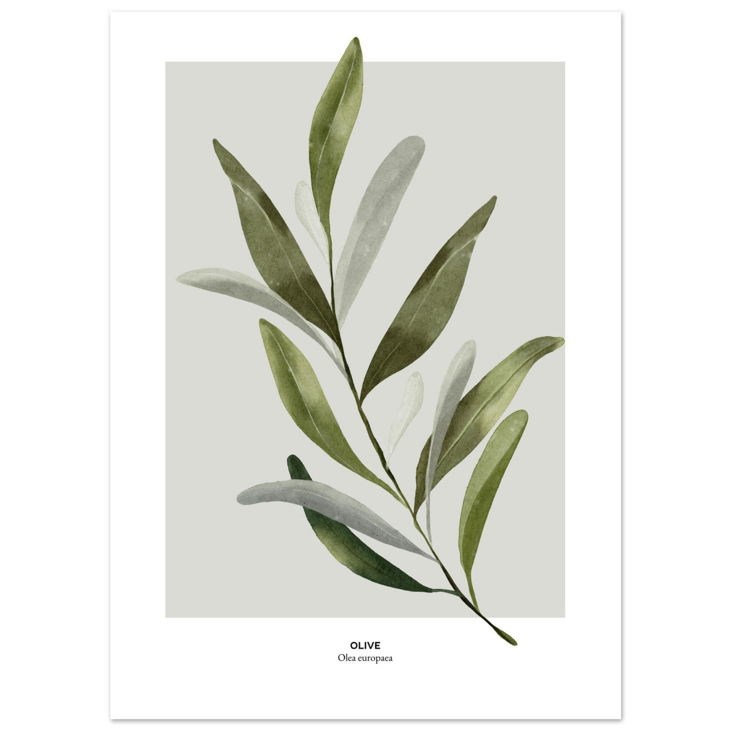 439e6b8a-d2b0-48e3-b43d-d014b13527f0